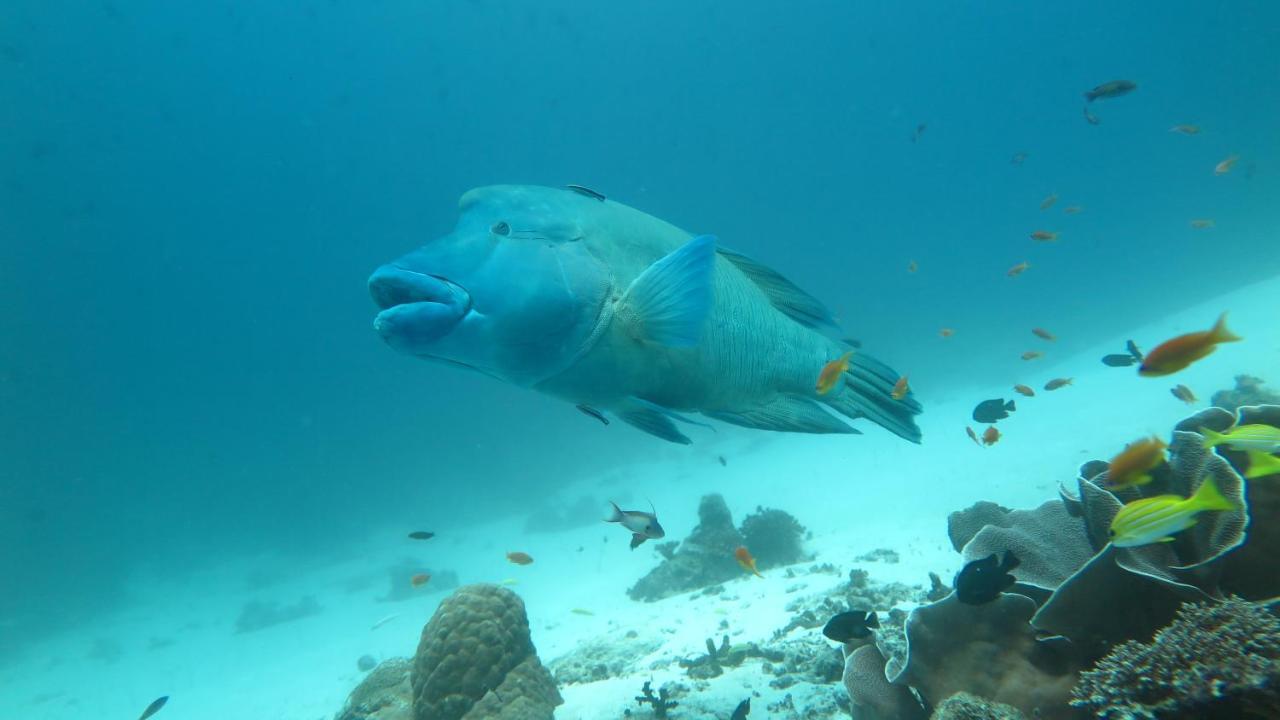Rasdhoo Palm Residence מראה חיצוני תמונה