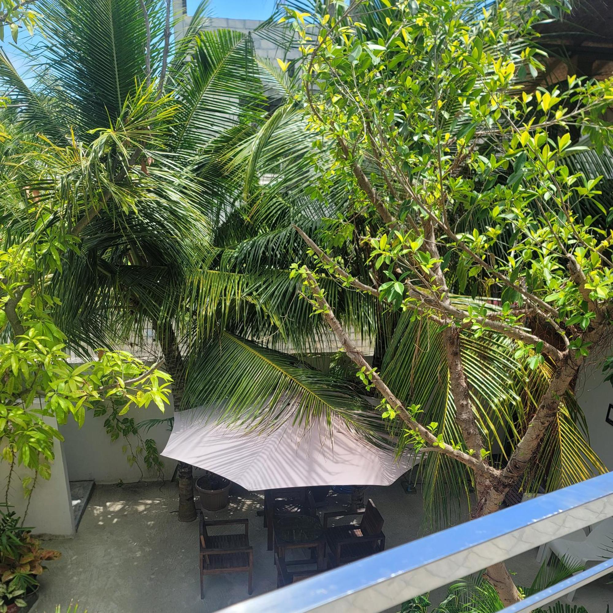 Rasdhoo Palm Residence חדר תמונה